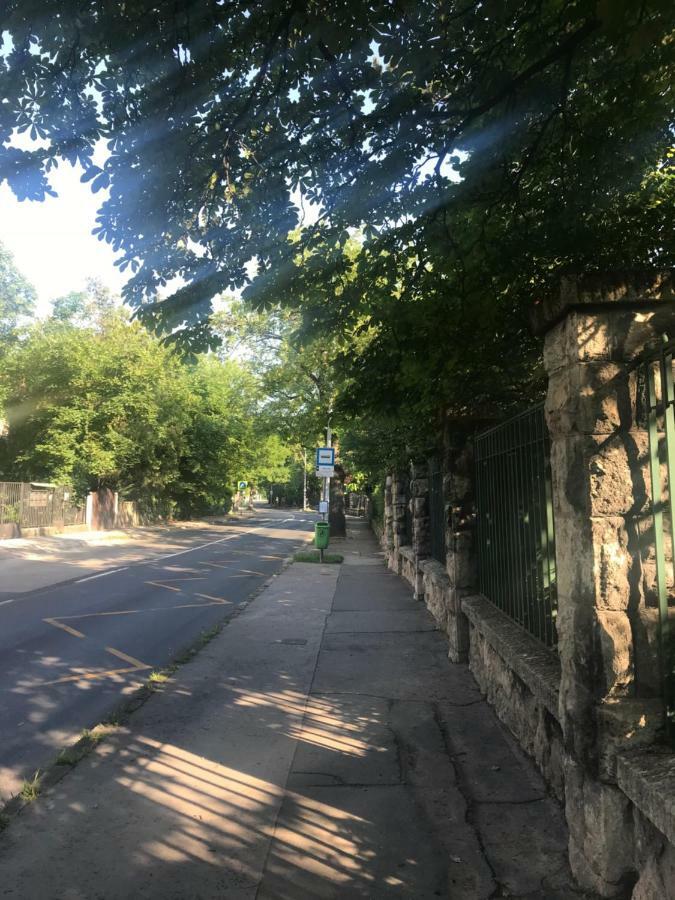 Pasaret Studio Budapeszt Zewnętrze zdjęcie